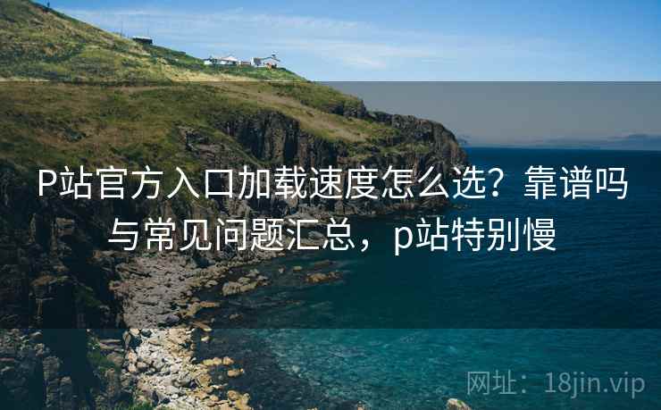 P站官方入口加载速度怎么选？靠谱吗与常见问题汇总，p站特别慢  第2张