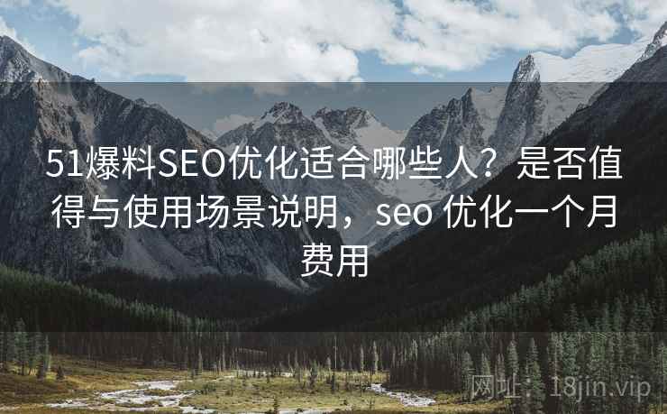 51爆料SEO优化适合哪些人？是否值得与使用场景说明，seo 优化一个月费用  第2张