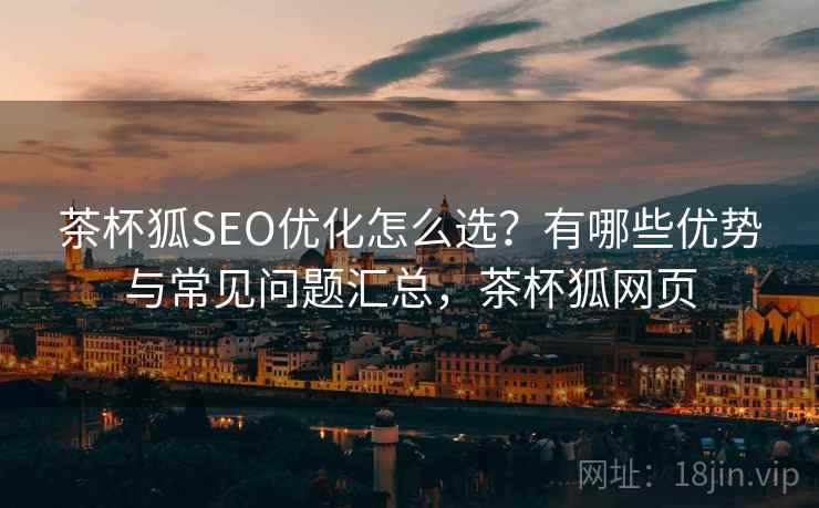 茶杯狐SEO优化怎么选？有哪些优势与常见问题汇总，茶杯狐网页  第1张