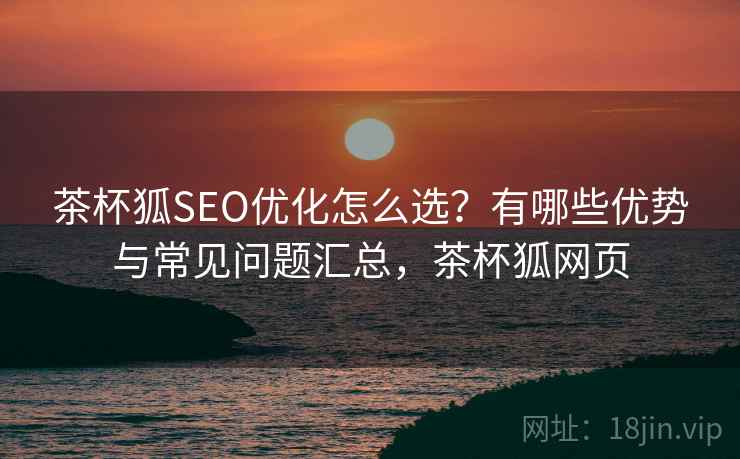 茶杯狐SEO优化怎么选？有哪些优势与常见问题汇总，茶杯狐网页  第2张