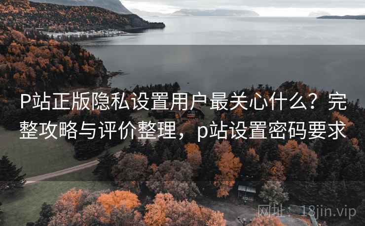 P站正版隐私设置用户最关心什么？完整攻略与评价整理，p站设置密码要求  第2张