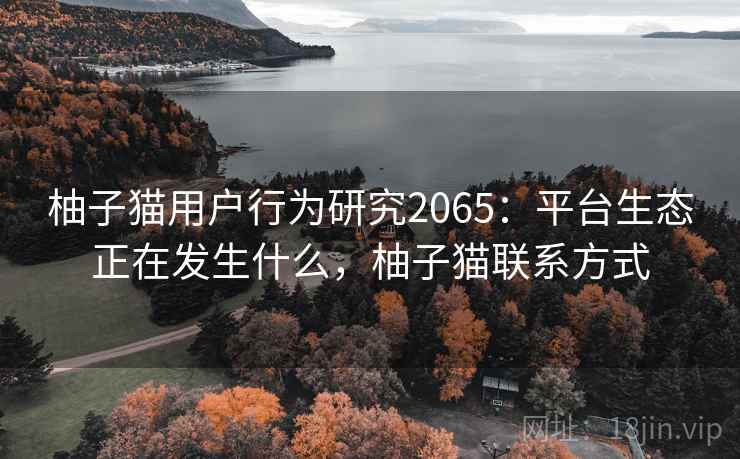柚子猫用户行为研究2065：平台生态正在发生什么，柚子猫联系方式  第1张